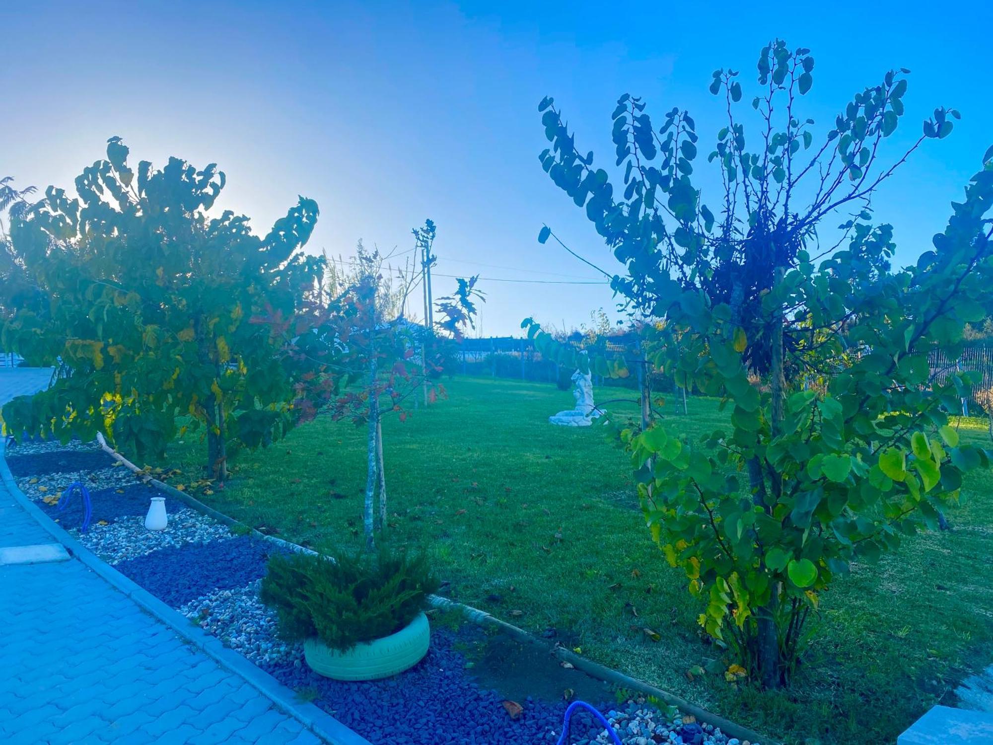 Appartamento Alto Do Moinho Alcobaça Esterno foto