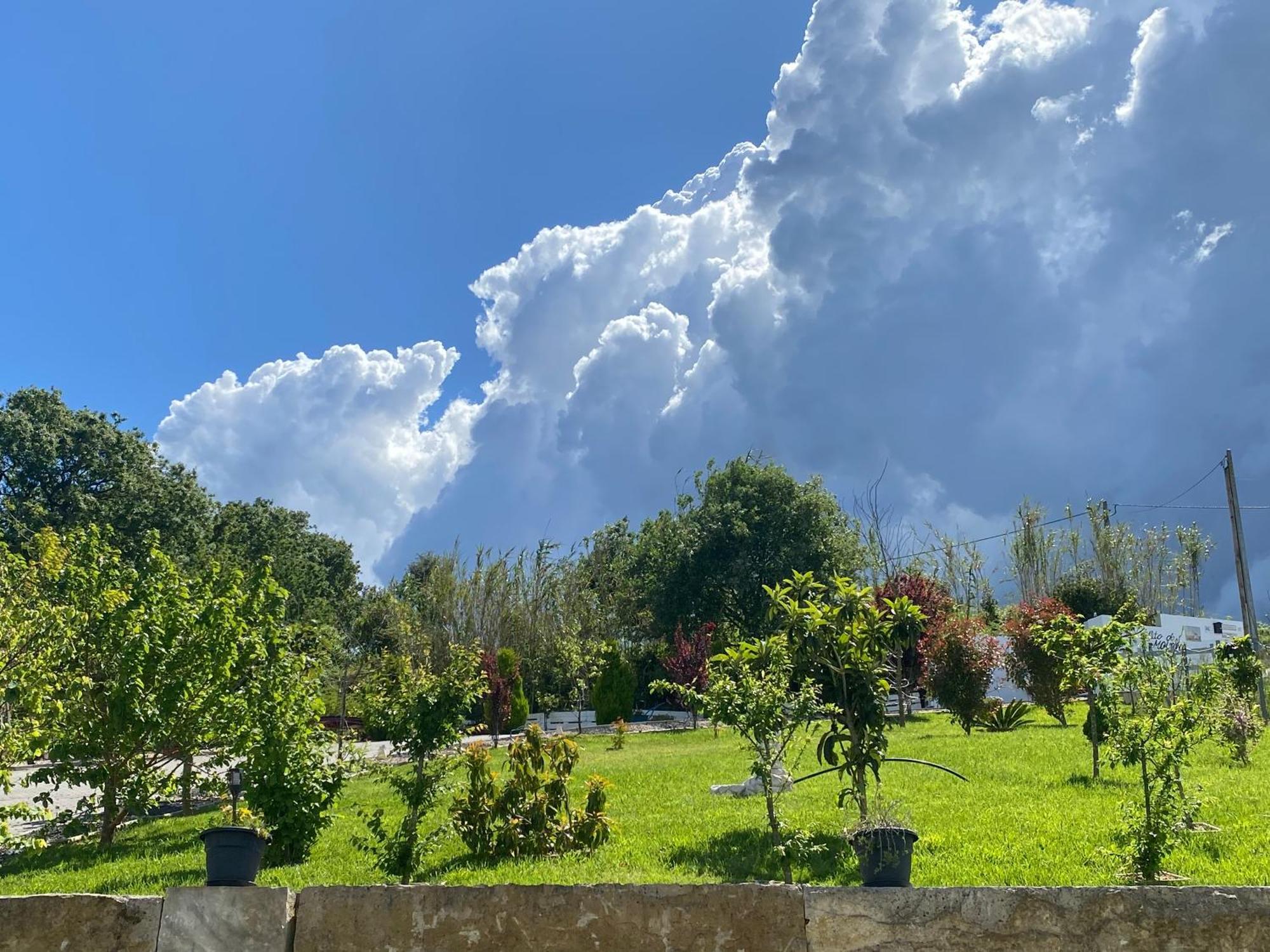 Appartamento Alto Do Moinho Alcobaça Esterno foto